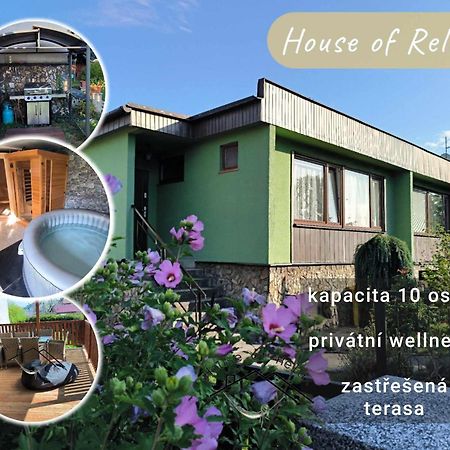 House Of Relax Villa Recany nad Labem Ngoại thất bức ảnh
